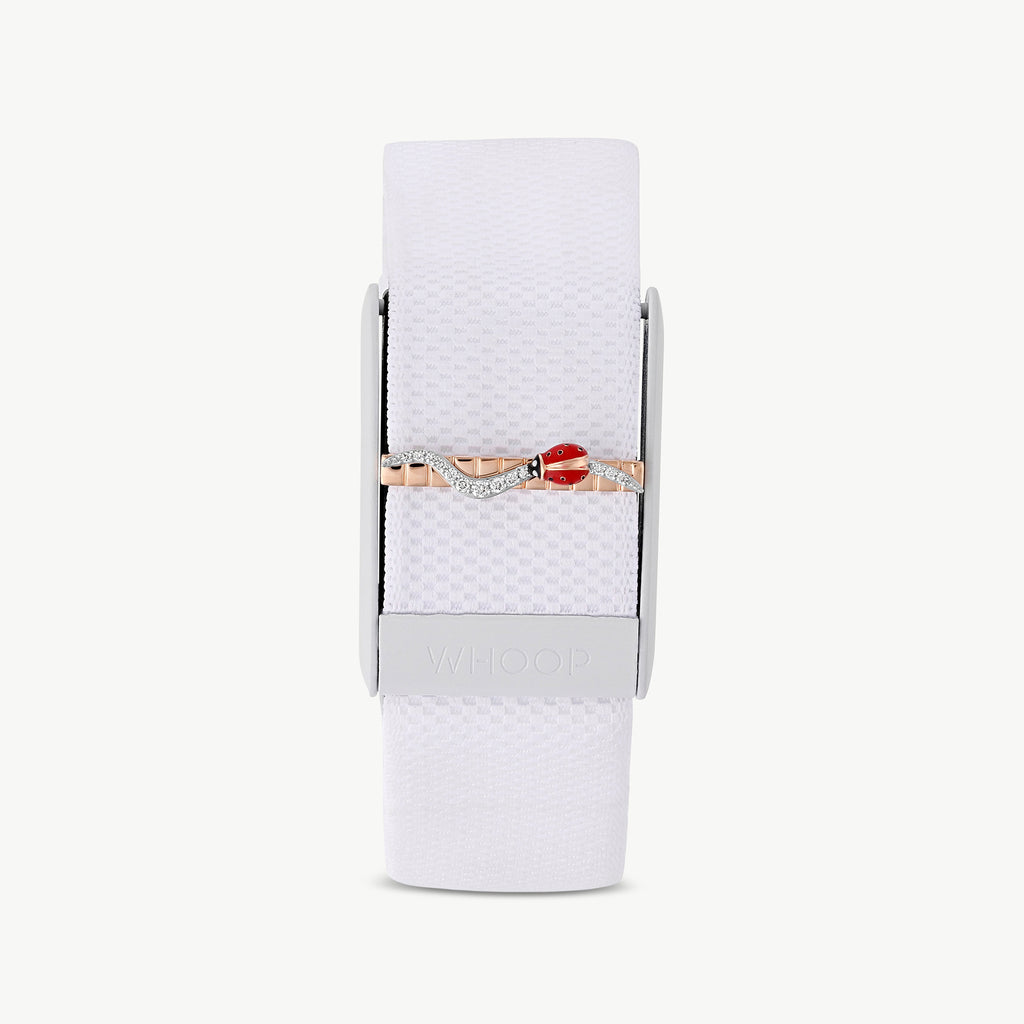 The little lady bug WHOOP Charm