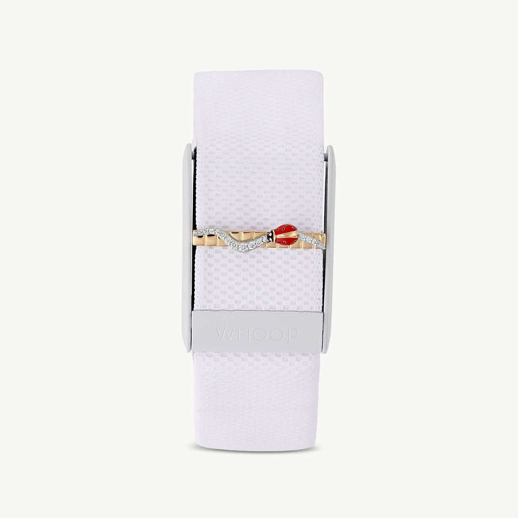 The little lady bug WHOOP Charm